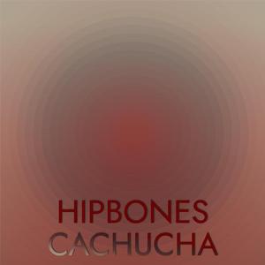 Traipsing Wastewater