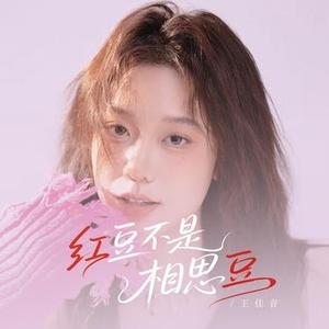 红豆不是相思豆