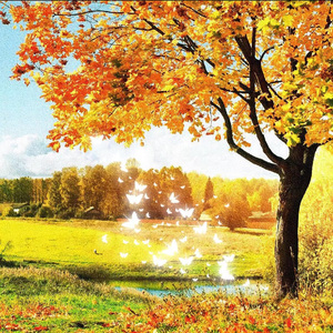 天气再冷一点就好了