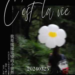 我那摇摇欲坠的小世界