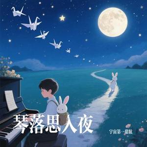 琴落诉夜
