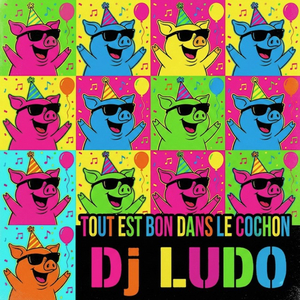 Tout est bon dans le cochon