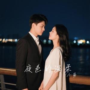夜色的温柔