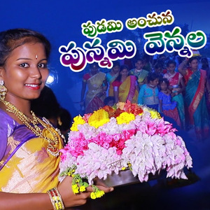 PUDAMI ANCHUNA PUNNAMI VENNELA