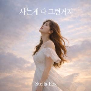 사는게 다 그런거지