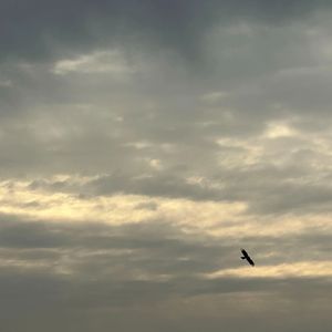 月光总会落在你身上