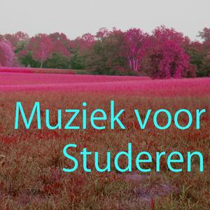 Muziek voor Studeren 3