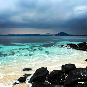 포장마차