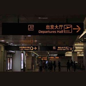 飞走了(cover金海心）