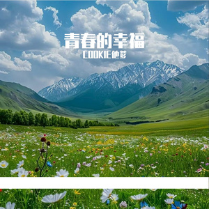 勇气的翅膀