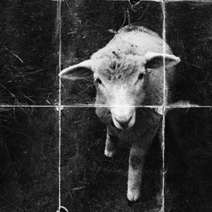 You Forgot To Be Happy