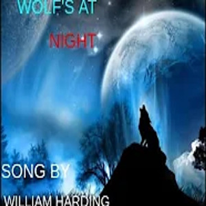 Wolf's at Night