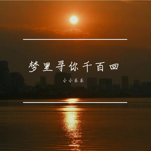 梦里寻你千百回