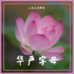 华严字母 起梵腔