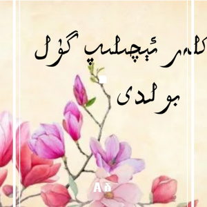 Qiqaklar Eqilip gul boldi丨兰花开变花儿