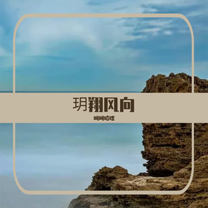 风向