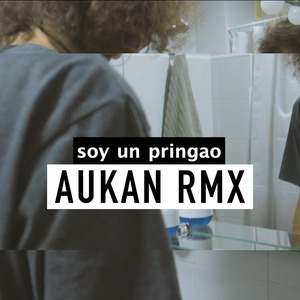 Soy un pringao (Aukan RMX)