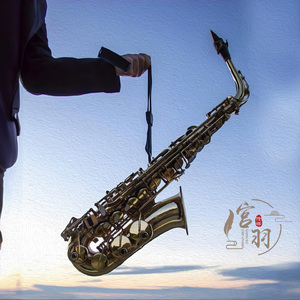 城里的月光 (萨克斯轻音乐)