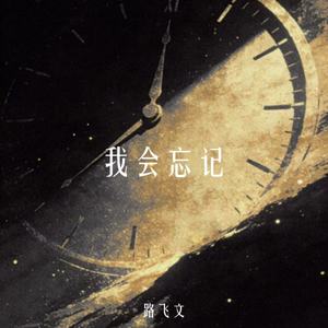 我会忘记（我会放弃）(伴奏)