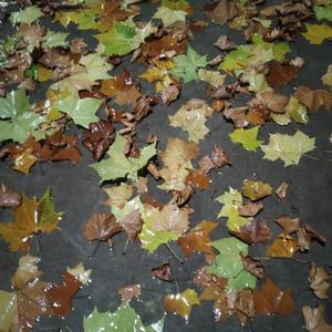 让故事有个结尾