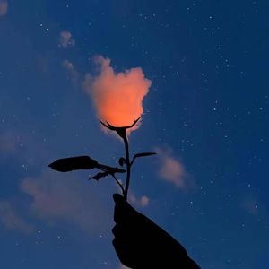 没有hook 只有她