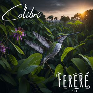 Colibrí
