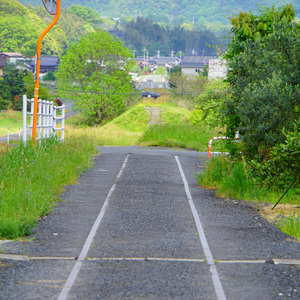 I'm Always With you.