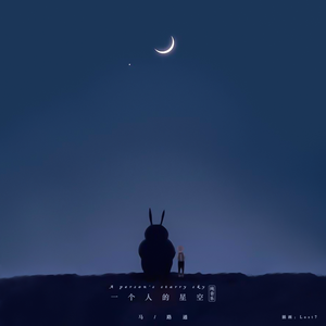 一个人的星空