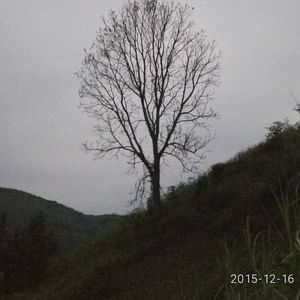 只为你唱歌 伴奏