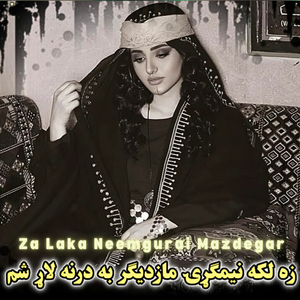 Za Laka Neemgurai Mazdegar