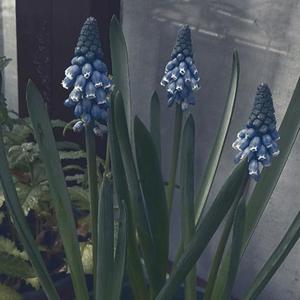 等我想好再取吧