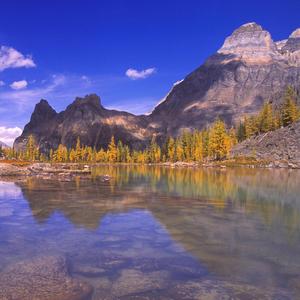 我一直在盼望着美好的明天