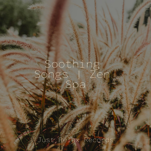 August's Melodic Dusk