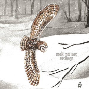 Strigoi - In Nihilum