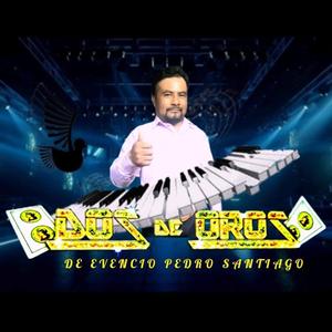 Amor de madre bendita