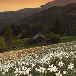 keep it on the low (feat. A$heem)