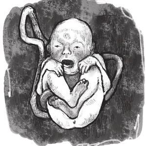 ТВИСТЕД ВИЛ