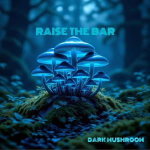 raise the bar