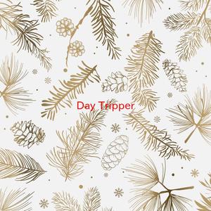Day Tripper (Complete version originally performed by The Beatles)