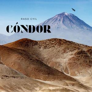 Cóndor