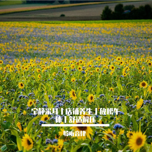 采耳静谧舒缓轻音乐