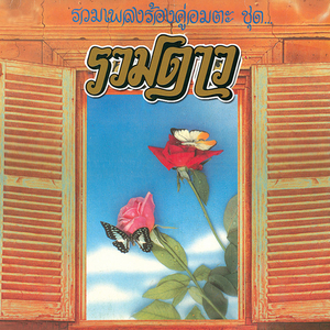 ทุยจ๋าทุย