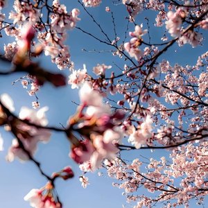 《格子间的月亮》