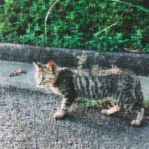 愛されたいだけ