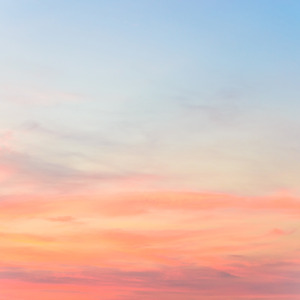 空腹のワルツ (feat. Synthesizer V AI Mai)