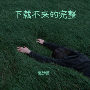 下载不来的完整