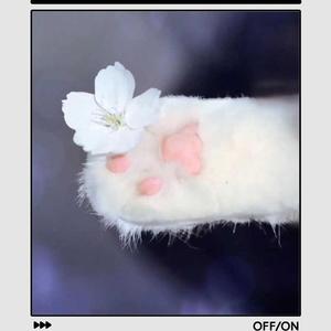 0222心动-比尔的歌