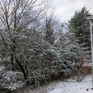 この世界を生き抜くためには続けよう アルペジオ