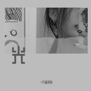 光（刘惜君版本）