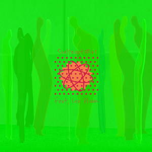 Bloom